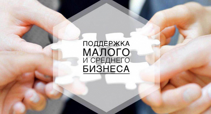 Программы микрофинансирования для предпринимателей в Волгоградской области и России: современный механизм поддержки малого и среднего бизнеса