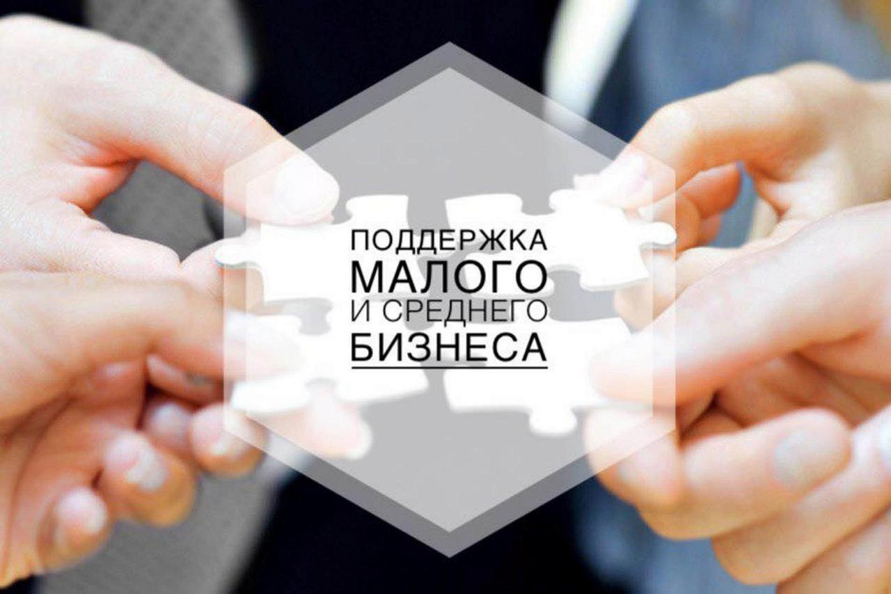 Программы микрофинансирования для предпринимателей в Волгоградской области и России: современный механизм поддержки малого и среднего бизнеса